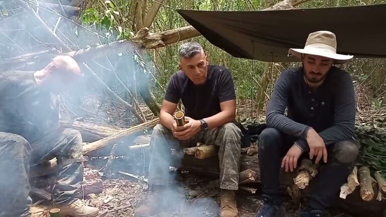 Descanso en la Naturaleza: Camping en Festivales