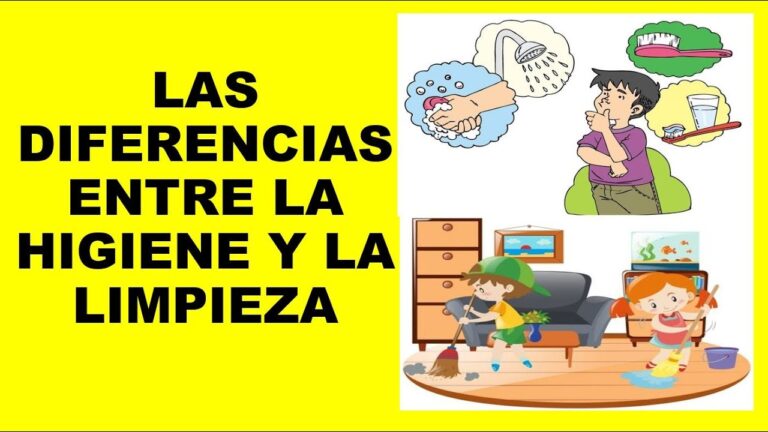 C&oacute;mo asegurar la higiene en festivales con ba&ntilde;os disponibles