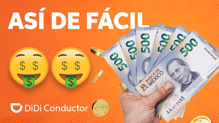 Taxi: La Soluci&oacute;n Ideal de Transporte para Festivales