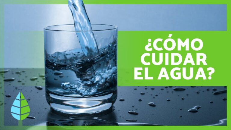 Transformando Vidas: El Impacto Positivo del Agua Potable Eficiente en la Comunidad