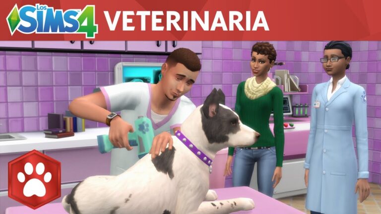 Veterinarios en Festivales de Mascotas: Cuidado y Bienestar Animal