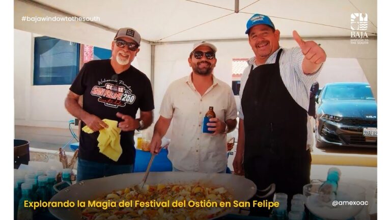 Celebrando la Diversidad Cultural en un Festival de M&uacute;sica en Vivo