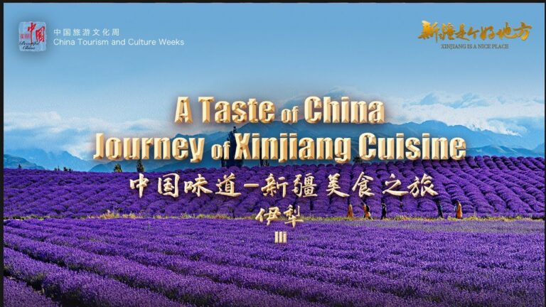 Sabores Irresistibles de un Festival Gastron&oacute;mico