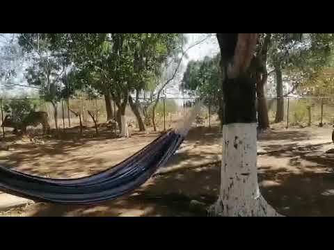 Amenidades Esenciales en el &Aacute;rea de Camping