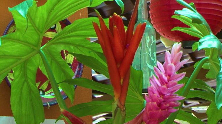 Ba&ntilde;os Termales: Relax Total en el Festival