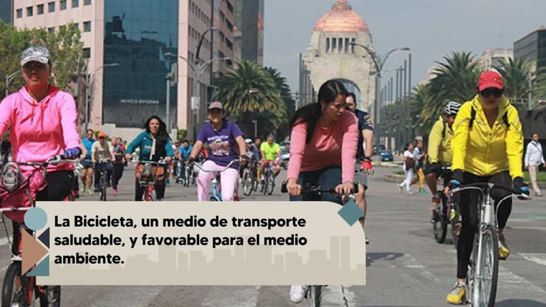 Bicicleta: La Opci&oacute;n Ideal para Llegar al Festival