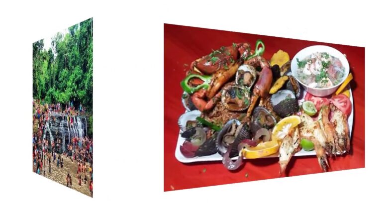 Comodidad en el Transporte en Taxi para Festivales