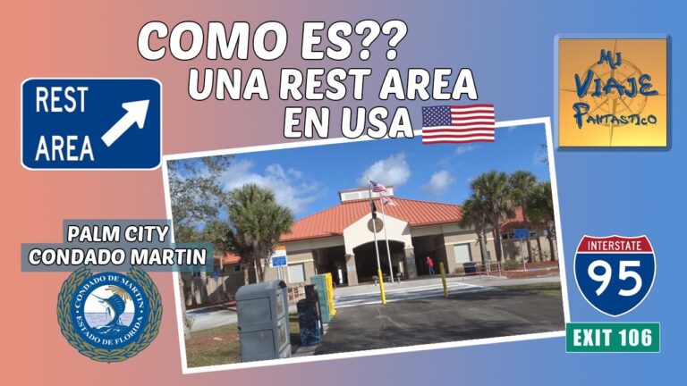 Descanso Perfecto en el &Aacute;rea de Picnic del Festival