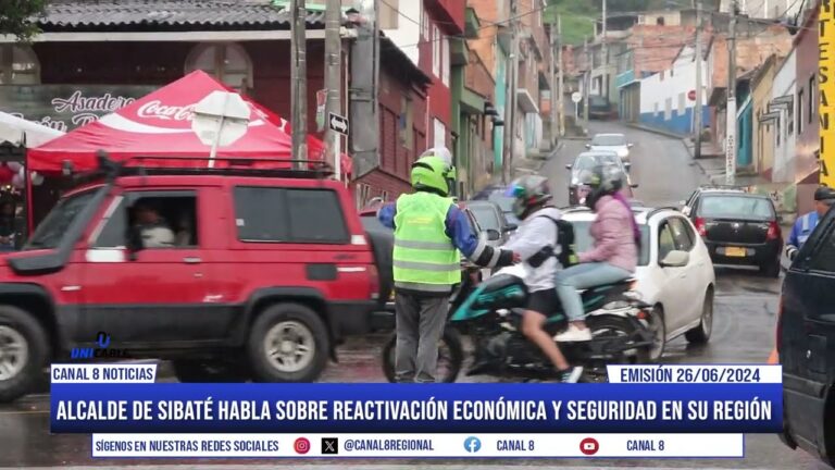 Zona de Relax para Mascotas en Festivales