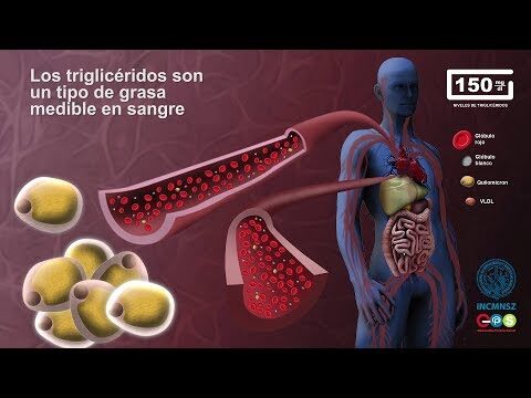 Prevenci&oacute;n de desmayos leves en eventos al aire libre