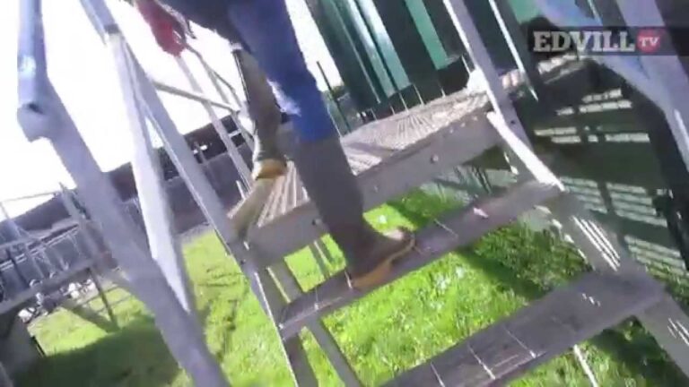 Encuentra Ba&ntilde;os: Gu&iacute;a R&aacute;pida para Festivales