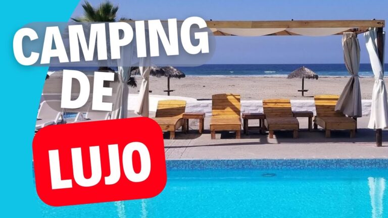 Disfruta de una Fogata en el Camping: Gu&iacute;a Esencial