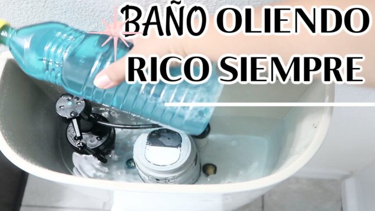 Limpieza Esencial de Ba&ntilde;os P&uacute;blicos en Eventos