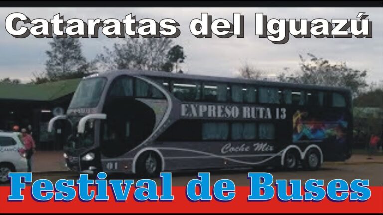 Minib&uacute;s: Tu Soluci&oacute;n para Llegar al Festival