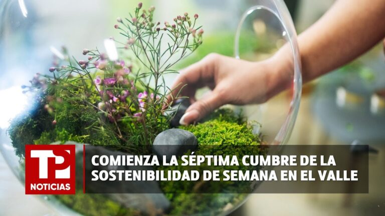 Estrategias Sostenibles para Eventos Festivos