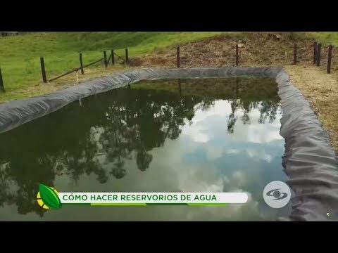 Ambiente Vibrante: Tu Gu&iacute;a para Adquirir Productos Perfectos