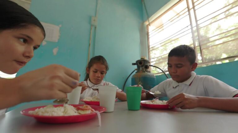 Gesti&oacute;n de Necesidades Sanitarias en Eventos al Aire Libre