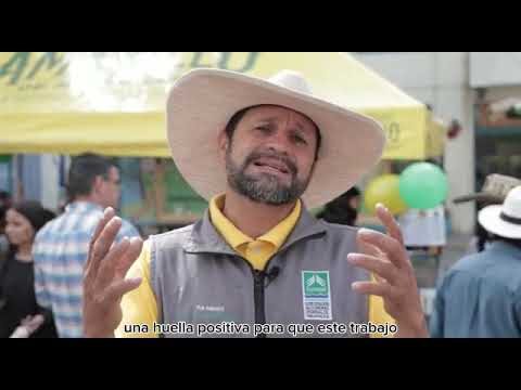Compromiso Ambiental en Festivales Ecol&oacute;gicos