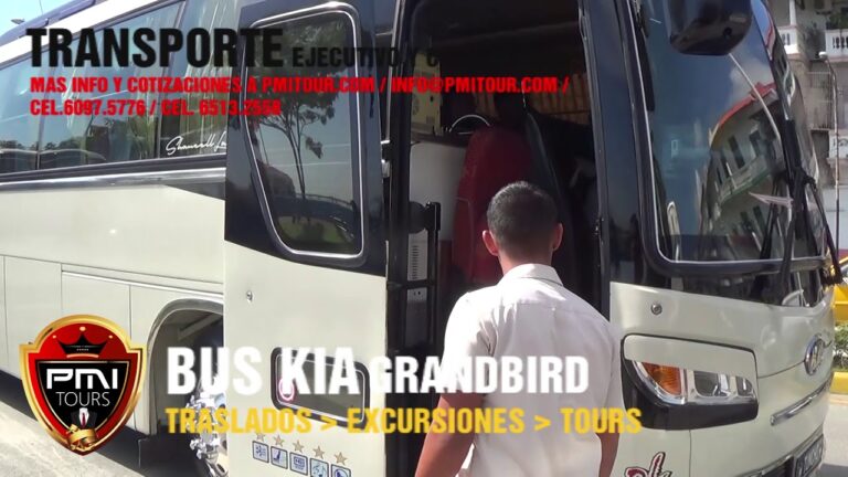 Traslado Seguro al Festival: Servicio de Transporte Eficiente