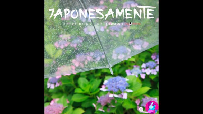 Del&eacute;itate con la Variedad de Bebidas en Festivales