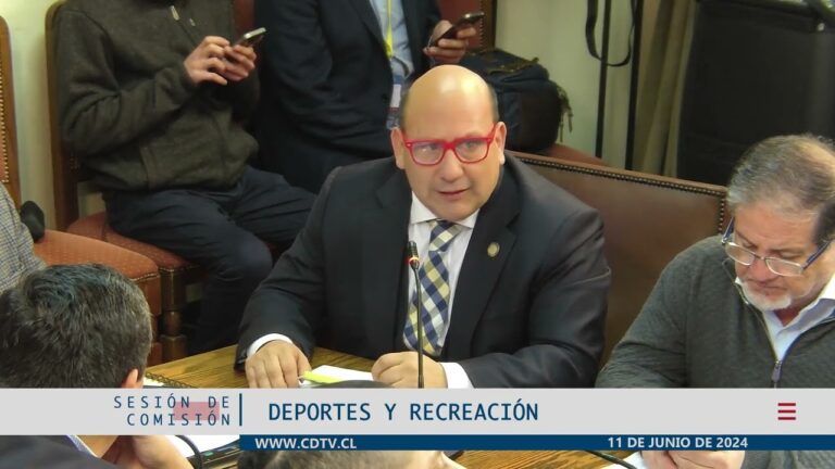 Gu&iacute;a de Sesiones y Horarios en un Festival Deportivo