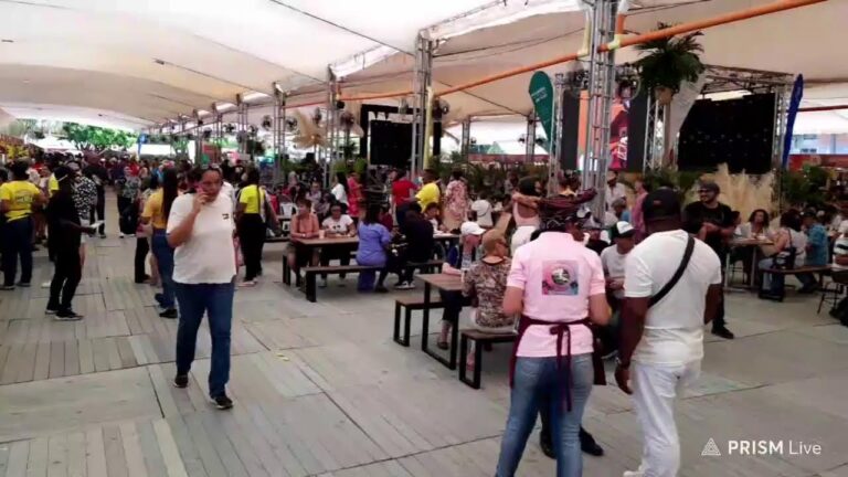 Sabores Aut&eacute;nticos: La Tradici&oacute;n Culinaria en la Comida Callejera de un Festival