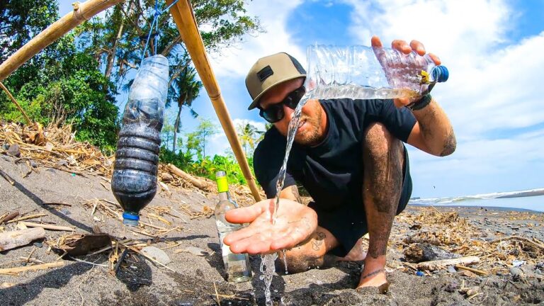 Consejos para Obtener Agua Potable en la Naturaleza
