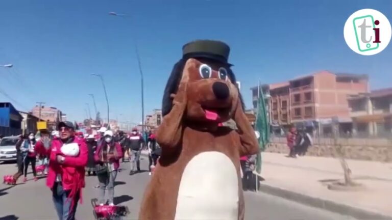 Desfile de Mascotas: Atuendos Coloridos y Diversi&oacute;n