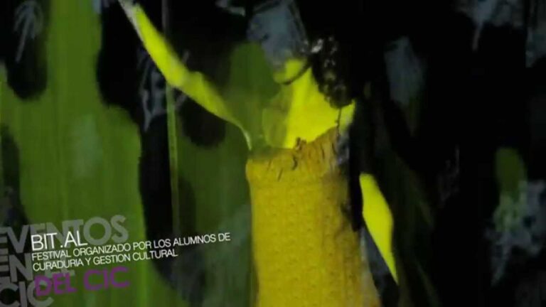 Conexi&oacute;n Creativa: Artistas en un Festival de Arte Interactivo