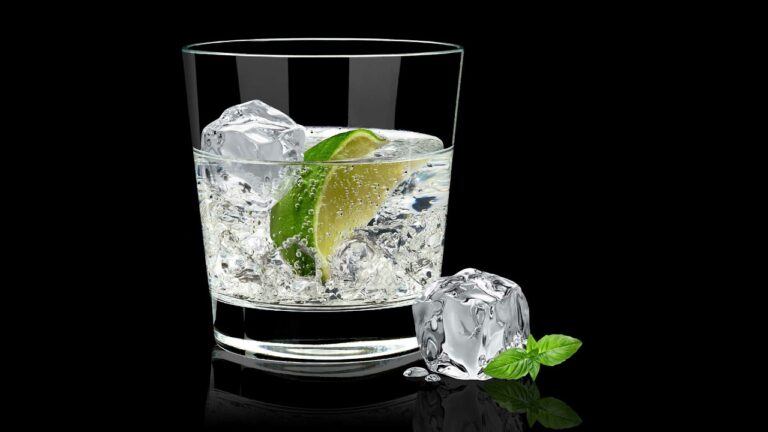 Explorando la Variedad de Bebidas en Festivales