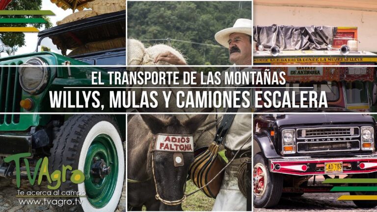 Opciones de Transporte para el Festival de Camiones de Comida