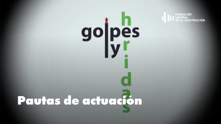 Gu&iacute;a Pr&aacute;ctica de Directrices para Actuaciones en Emergencias