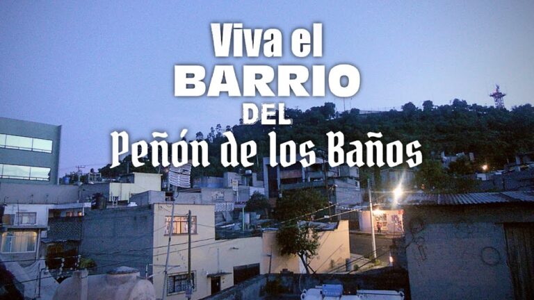 Viviendo la Experiencia en Ba&ntilde;os P&uacute;blicos Durante un Festival