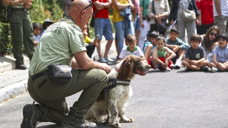 Seguridad en Festivales: Claves para un Ambiente Seguro