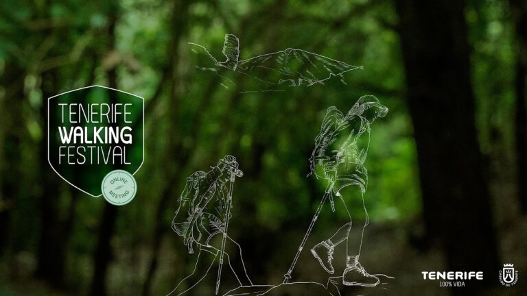 Itinerario Completo para Explorar Todos los Puntos de Informaci&oacute;n del Festival