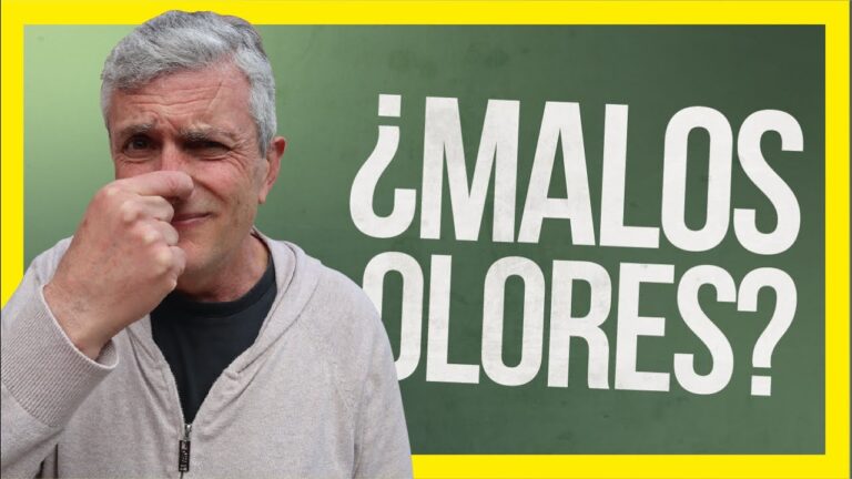 Soluciones Efectivas para Eliminar Olores en Ba&ntilde;os P&uacute;blicos