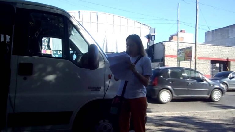 Optimizaci&oacute;n de &Aacute;reas de Estacionamiento en Festivales