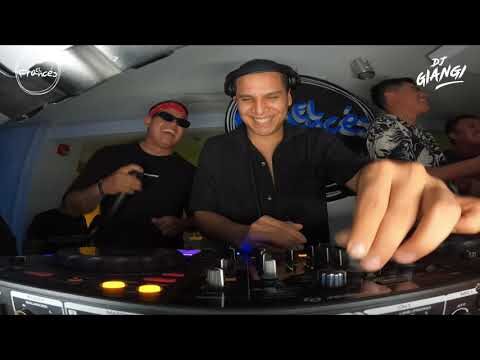 Vibrantes Actuaciones en Vivo en Discotecas del Festival