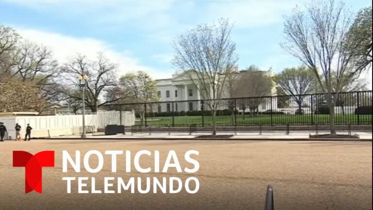 Innovaci&oacute;n en Festivales: Plataformas Digitales de Emergencia