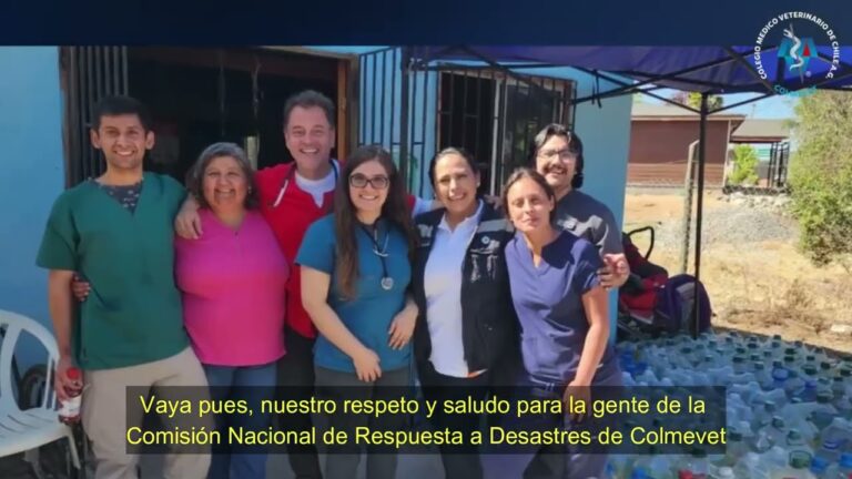 Responsabilidades Clave de los Voluntarios en Emergencias