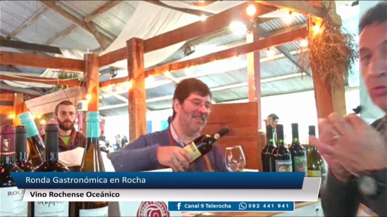 Cata de Vinos Locales en Eventos Vin&iacute;colas