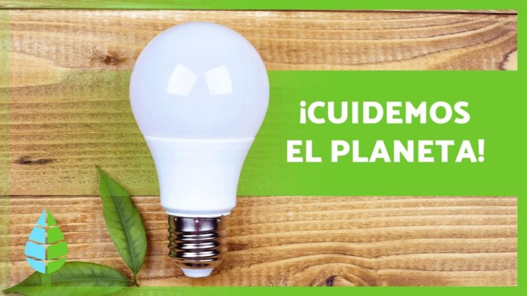 Pr&aacute;cticas Ecoamigables en Festivales Educativos: Claves para la Sostenibilidad