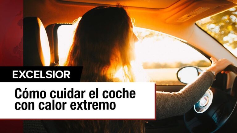 Protegiendo tu Veh&iacute;culo en Conciertos al Aire Libre