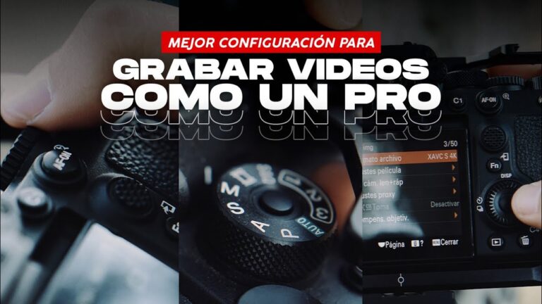 &Aacute;reas de Descanso Sombreadas en Festivales: Confort y Relax