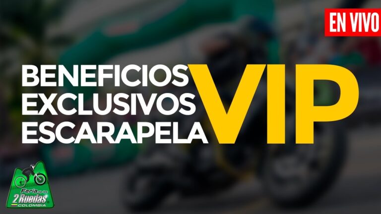 Ventajas de Acceder a la Zona VIP en Eventos