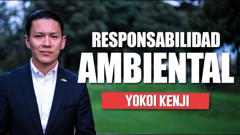 Compromiso Social en Festivales: El Poder del Voluntariado