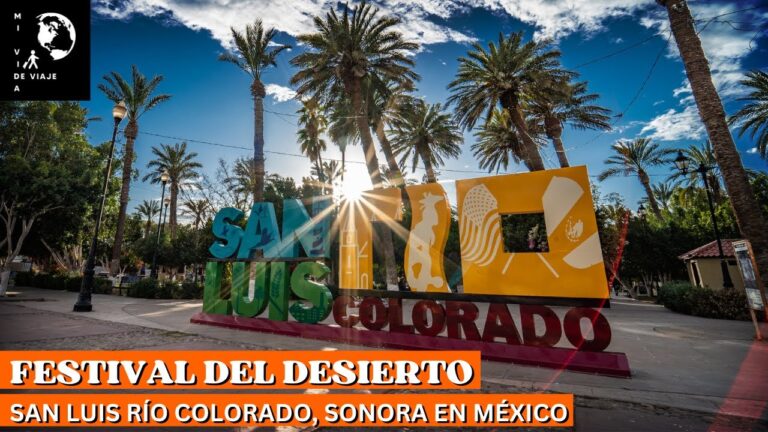 Explorando Sabores a Trav&eacute;s de la Fotograf&iacute;a en un Festival