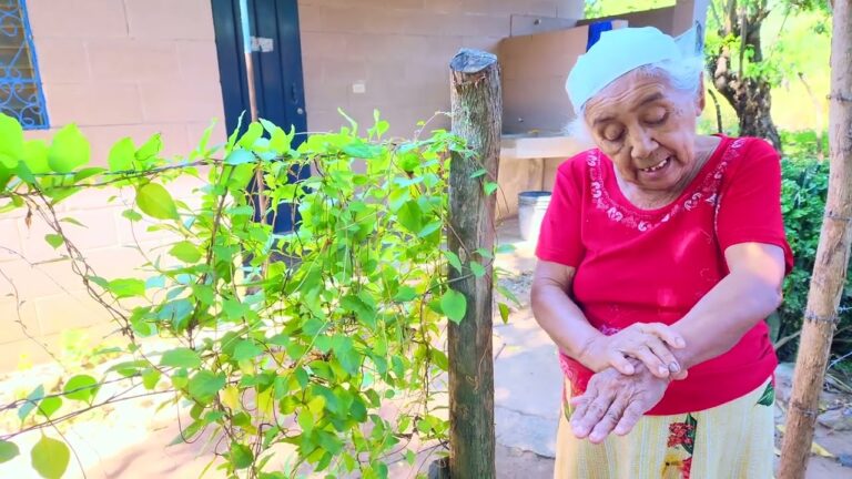 Consejos para el Manejo de Quemaduras Solares en Festivales de M&uacute;sica