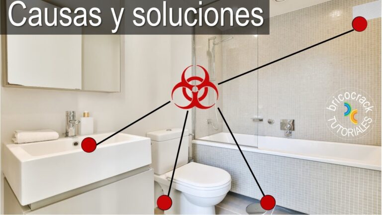 Soluciones Eficaces para Controlar Olores en Ba&ntilde;os Exteriores