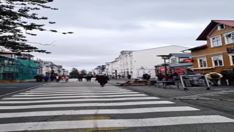 Espacios Tranquilos en Festivales: Recarga de Energ&iacute;as